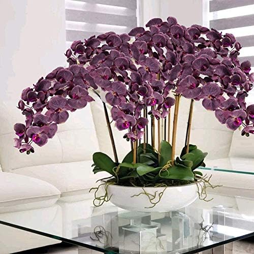 HUAESIN Yapay Orkide Çiçekler 37 inç 9 Büyük Blooms Phalaenopsis Ipek Çiçekler Ev Düğün Centerpiece Dekorasyon için Kök ile 2